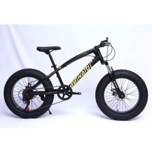 Vélo à pneus gras pour enfants de 20 pouces, vélo de plage, vélo de montagne, vélo à pneus gras 4.0 - Product Image 2