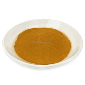 Bio <span class=keywords><strong>Pleurotus</strong></span> <span class=keywords><strong>Ostreatus</strong></span> D'extrait De Champignon D'huître En Poudre Bêta-glucane 10%-30% - Product Image 2