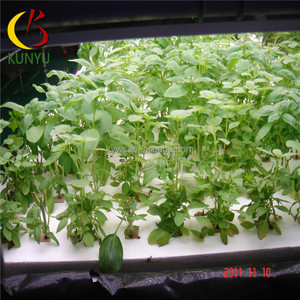 Tomaten/Aardappelen/Sla/Aardbei Hydrocultuur Systeem Voor Landbouw Greenhouse Pvc Hydrocultuur Systeem - Product Image 6