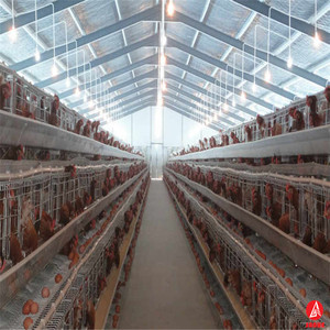 <span class=keywords><strong>Cage</strong></span> de poulet à couche/couche, cellule de volaille économique, design de ferme de volaille - Product Image 4