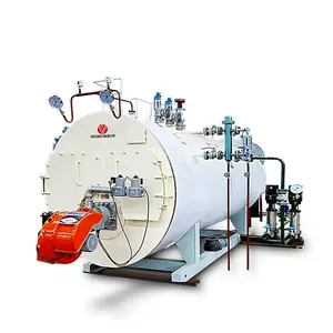 WNS-caldera de vapor de combustible Dual para máquina de secado de 3 toneladas por hora, 10 bares con quemador italiano