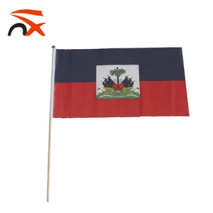 Promosi Kecil Haiti Tangan Melambaikan Bendera dengan Bendera Tetap