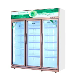 ירוק & בריאות סופרמרקט מסחרי זכוכית דלת זקוף תצוגת מקפיא מקרר Cooler