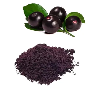 HONGDA 공장 공급 브라질 Acai 유기 Acai 분말 Acai 분말 대량