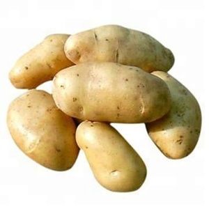 Venta de Papas Russet en Caja, Precio Nuevo - Product Image 2