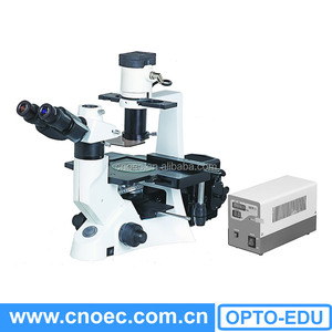 A16.1023 <span class=keywords><strong>trinocular</strong></span> 400x microscopio de fluorescencia - Product Image 1