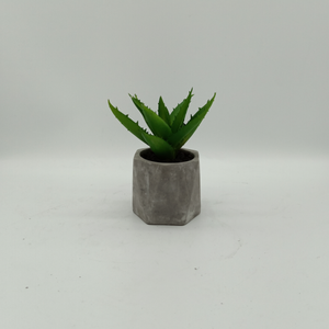 Decorazione per Casa e Giardino, <span class=keywords><strong>Piante</strong></span> Artificiali, <span class=keywords><strong>Cactus</strong></span> Artificiale, Aloe Artificiale <span class=keywords><strong>in</strong></span> <span class=keywords><strong>Vaso</strong></span> - Product Image 3