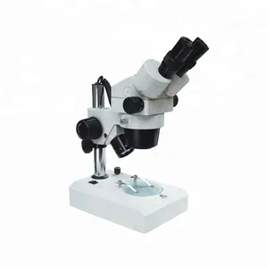 HA CONDOTTO LA luce due teste binoculare stereo microscopio
