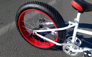 Bicicletta <span class=keywords><strong>tandem</strong></span> a due posti con pneumatici fat da 26*4.0, modello Surrey. - Product Image 5