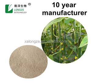 Tự nhiên đóng băng khô dưa chuột bột/Dưa chuột thêm - Product Image 2