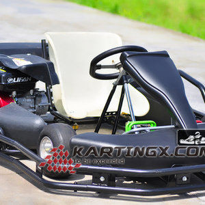 168cc / <strong>250cc</strong> / 270cc / 390cc Cheap Karting Car / <strong>Racing</strong> <strong>Go</strong> <strong>Kart</strong> for Sale (GC2006) - Product Image 1