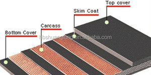 Nastro Trasportatore in Tessuto di Gomma EP - Product Image 5