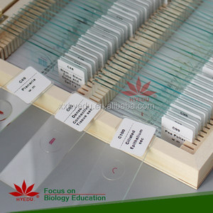 <span class=keywords><strong>Microscope</strong></span> de haute qualité, 100 pièces, diapositives préparées depuis l'usine directe - Product Image 4