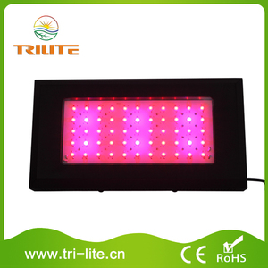 Fuente de la Fábrica luz <span class=keywords><strong>led</strong></span> <span class=keywords><strong>para</strong></span> <span class=keywords><strong>indoor</strong></span> - Product Image 5