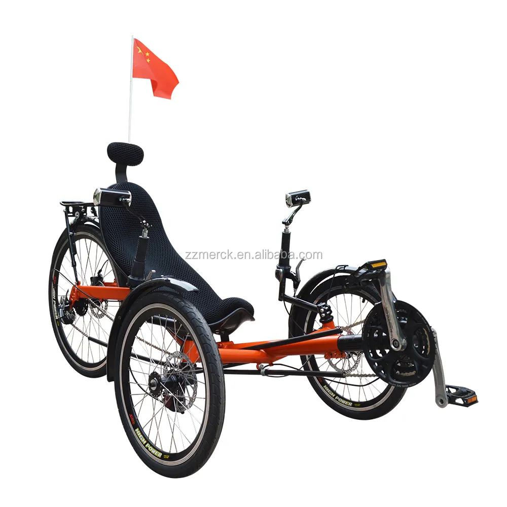 3 Wheels 250 Watt Motor Adult Touring Wild Adventure Tadpole Recumbent Bicycle, 2 Front Wheels Electric Recumbent Trike