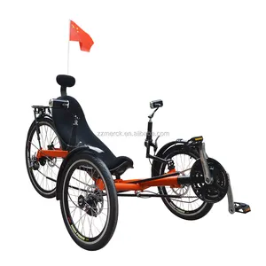 3 tekerlekli 250 Watt Motor yetişkin Touring vahşi macera Tadpole yaslanmış bisiklet, 2 ön tekerlekler elektrikli yaslanmış Trike