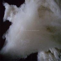 100% Pure Mongolia Dehaired Pashmina Wool Fiber Cashmere Fibre From Goat