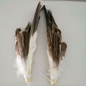 Bán Hot Big Rare <span class=keywords><strong>Eagle</strong></span> Tail Feather Cho Trang Phục Và Mũ Nón - Product Image 1