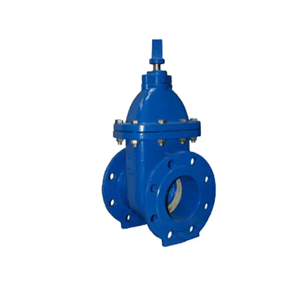 Flexible, Split Wedge Gate Valve