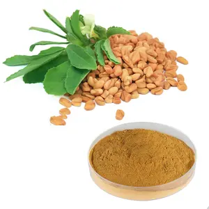 HongdaHerb Chiết Xuất Thảo Dược Bột Chiết Xuất Fenugreek Thông Thường