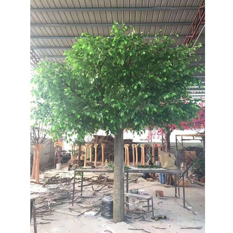 สีเขียว