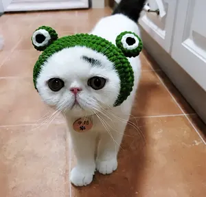 popular hand knitted cute puppy headgear knitting green frog design pet hat headwear for cats dogs headband