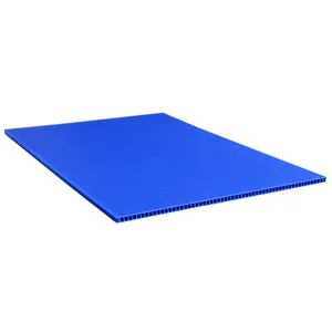 Renkli PP Içi Boş Oluklu Plastik Levha/Corflute/Correx/Cartonplast/Corflute Sheet