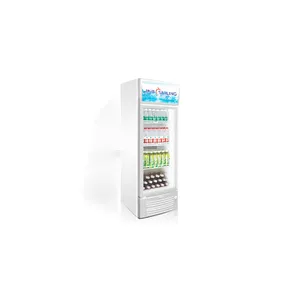 Commerciale in posizione verticale congelatore Singola Porta di Vetro Bevanda Display frigorifero