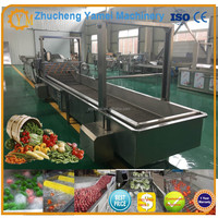 Groente fruit wortel, aardappel, taro, ui, mango ananas, papaja dicing cube dicer machine