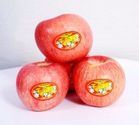 Fournisseurs et grossistes d'étiquettes pour jus de fruits et légumes, étiquettes de logo