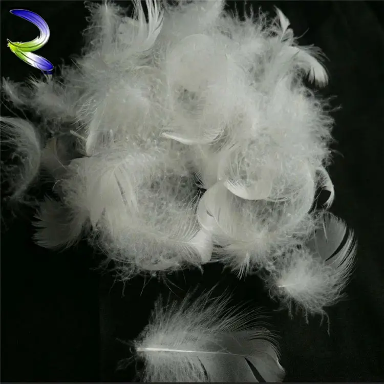 A granel de tela de lavado de pluma de ganso bajo precio blanco pluma de ganso venta por mayor almohada material de relleno