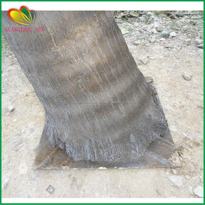 Plástico artificial palmera cocotera para al aire libre - Product Image 5