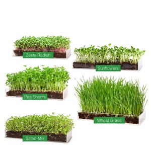 Nuovo vassoio per vasi da fiori trasparente personalizzato vassoio per fioriera a goccia in acrilico per giardini di erbe - Product Image 4