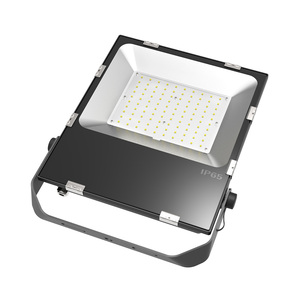 Đèn Phản Xạ Tập Trung Ngoài Trời Góc Rộng 100W Ip66 220V Đèn Pha Led Với Tập Tin <span class=keywords><strong>Ies</strong></span> - Product Image 5