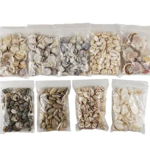 Direct van de fabrikant: Mini natuurlijke DIY knutsel schelpjes in bulk - Product Image 1