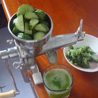 304 Roestvrij Staal Handmatige Tarwegras Juicer Manual-Tarwegras-Juicer Groente Machine Groenten en Fruit Sapcentrifuge