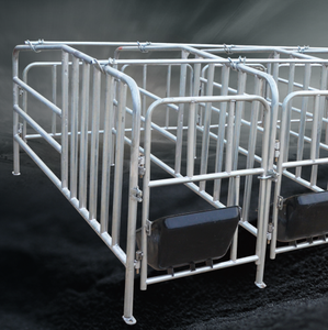 Nhà Máy Lợn Thiết Bị Nông Nghiệp Lợn Bút Gieo Mang Thai Thùng Cho Bán - Product Image 3