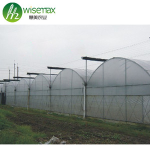 Struttura d'acciaio galvanizzata Tunnel commerciale del pomodoro del rivestimento dello zinco 275g/sqm - Product Image 5