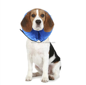 Cône réhaussé gonflable pour chien et chat, assorti d'un collier, Vision facile