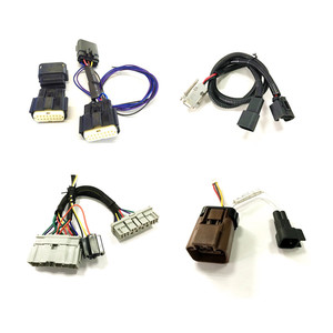 OEM ODM otomotiv teli koşum özelleştirmek 2 Pin kablo tel düzeneği üreticisi - Product Image 5