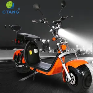 EWG stadt coco Elektrische Roller 800 w 1000 w 1500 w citycoco 2000 w elektrische roller Fett Bike mit Doppel sitz