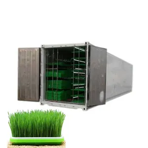 Full Automatic Hydroponic Barley Fodder System / Hydroponic Wheat Barley Fodder Sprout Machine