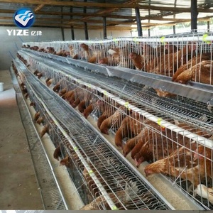 Offre Spéciale <span class=keywords><strong>Cages</strong></span> À Oeufs de Poulet En Afrique du sud, le Nigeria, le Kenya, l'ouganda - Product Image 3