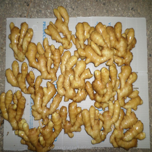 Hot Bán Trung Quốc Trưởng Thành Gừng/Hạt Gừng - Product Image 4