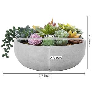<span class=keywords><strong>Composizione</strong></span> <span class=keywords><strong>di</strong></span> <span class=keywords><strong>Piante</strong></span> Succulente Artificiali da 8 Pollici <span class=keywords><strong>in</strong></span> <span class=keywords><strong>Vaso</strong></span> <span class=keywords><strong>di</strong></span> Cemento - Product Image 4