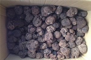 delicioso <span class=keywords><strong>salvaje</strong></span> negro <span class=keywords><strong>trufa</strong></span> de setas - Product Image 6