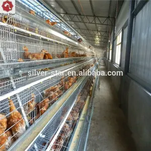 High quality Q235 welded galvanized steel wire mesh poultry chicken cage for sale