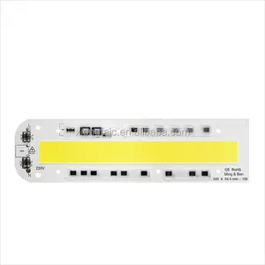 หลอดไฟ LED COB Chip 30W 50W 70W 100W 150W 220V 110V IP65 IC อัจฉริยะเหมาะสำหรับน้ำท่วมไฟ LED DIY สีขาวนวลสีขาวอบอุ่น