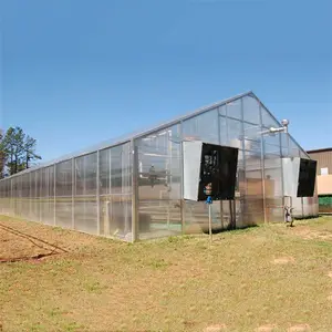 6ミリメートルHollow Transparent Polycarbonate Sheet Garden Greenhouses
