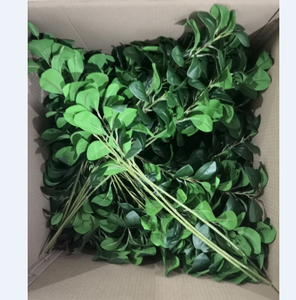 FC7515 Venta caliente plantas artificiales <span class=keywords><strong>Senecio</strong></span> cineraria Dusty Miller verde - Product Image 6